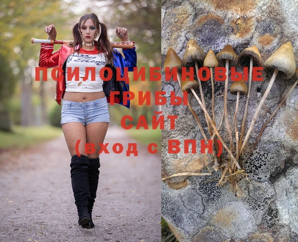 шишки Богородск