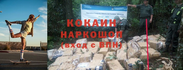 шишки Богородск